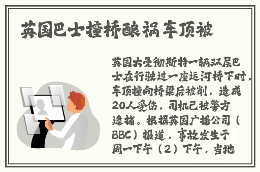 草莓视app下载安装旧版本
